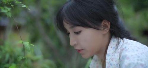 柒柒娱乐吃瓜,揭秘娱乐圈最新吃瓜事件，带你领略明星幕后故事